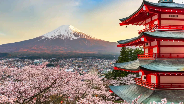Japan Travel Guide: Everything You Need to Know Before You Go