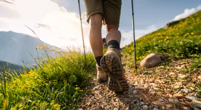 Hiking in Nova Scotia: The Best Trails for Every Level