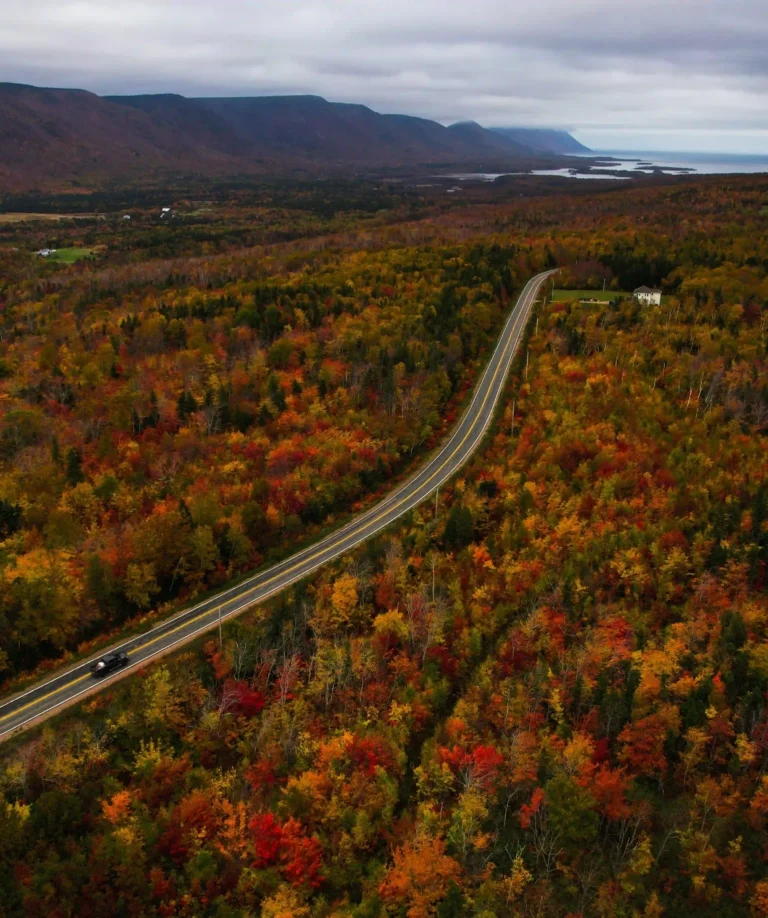Nova Scotia Fall Road Trip: Best Routes for Colour, Coast, and Harvest