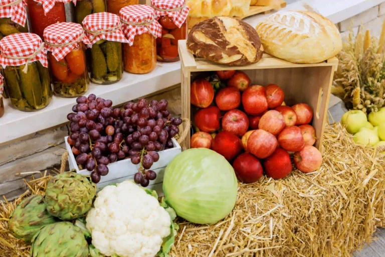 Best Fall Day Trips from Halifax