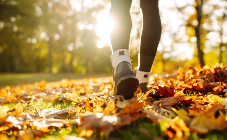 Easy Fall Walks Near Halifax When You Don’t Want a Road Trip