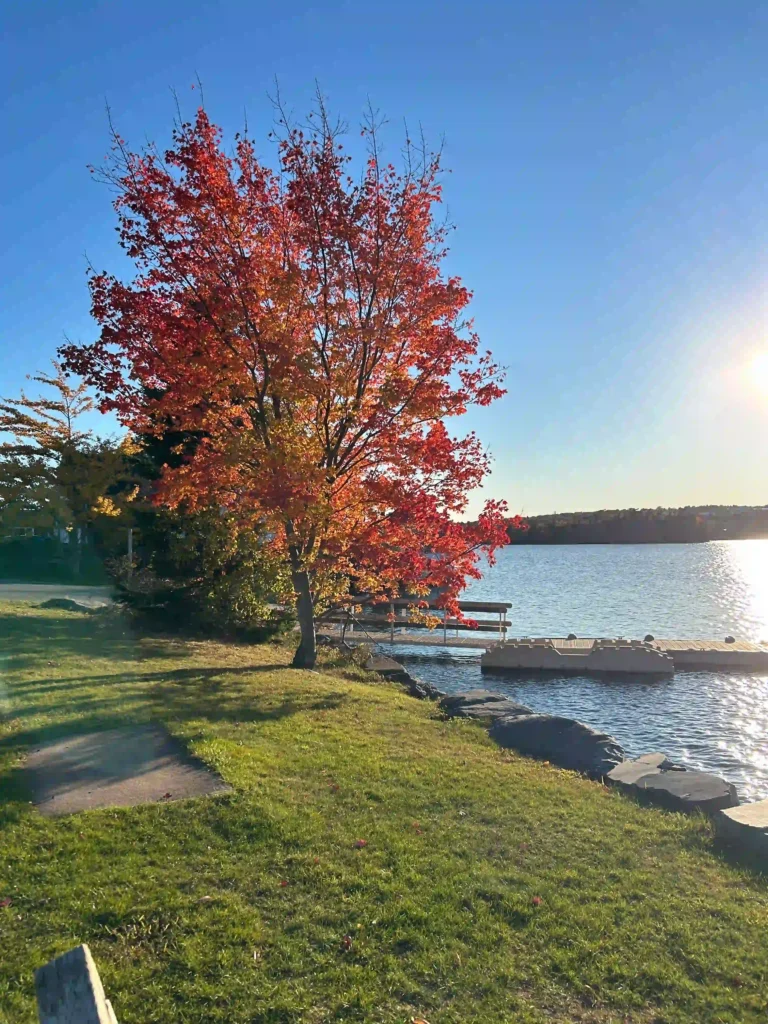 Best Halifax Parks for Fall Colours: Easy Walks, Views, and Realistic Local Stops