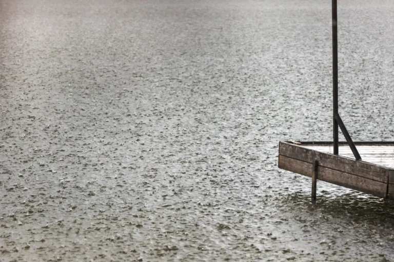What to Do in Halifax on a Rainy Fall Day