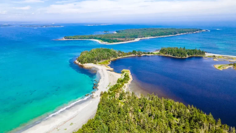 Aerial view of Taylor Head Provincial Park, with a narrow sandy beach separating turquoise Atlantic water from a dark inner cove, framed by spruce forest and offshore islands