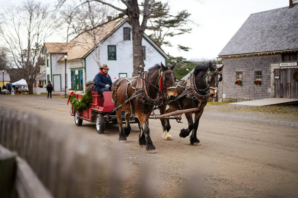Two draft horses pulling a red wagon decorated with wreaths along a gravel road past historic buildings at Sherbrooke Village during a Christmas event